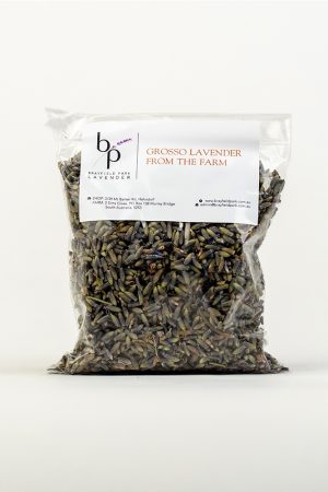 Dried-Grosso-Lavender-Front