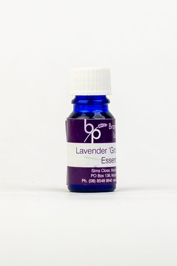 Lavender-'Grosso'-Essential-Oil-Left